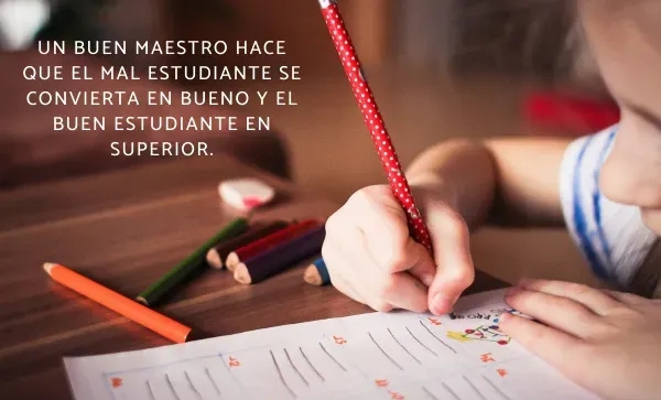 Bonito Frases Del Dia Del Maestro